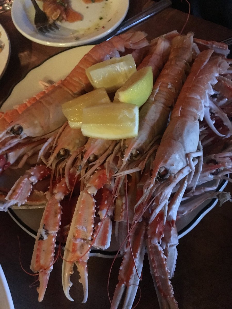 Dorann Hargreaves tweet media