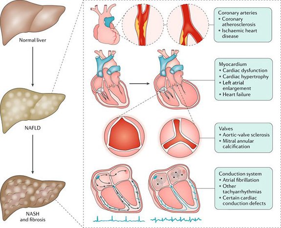 download practical healthcare epidemiology third