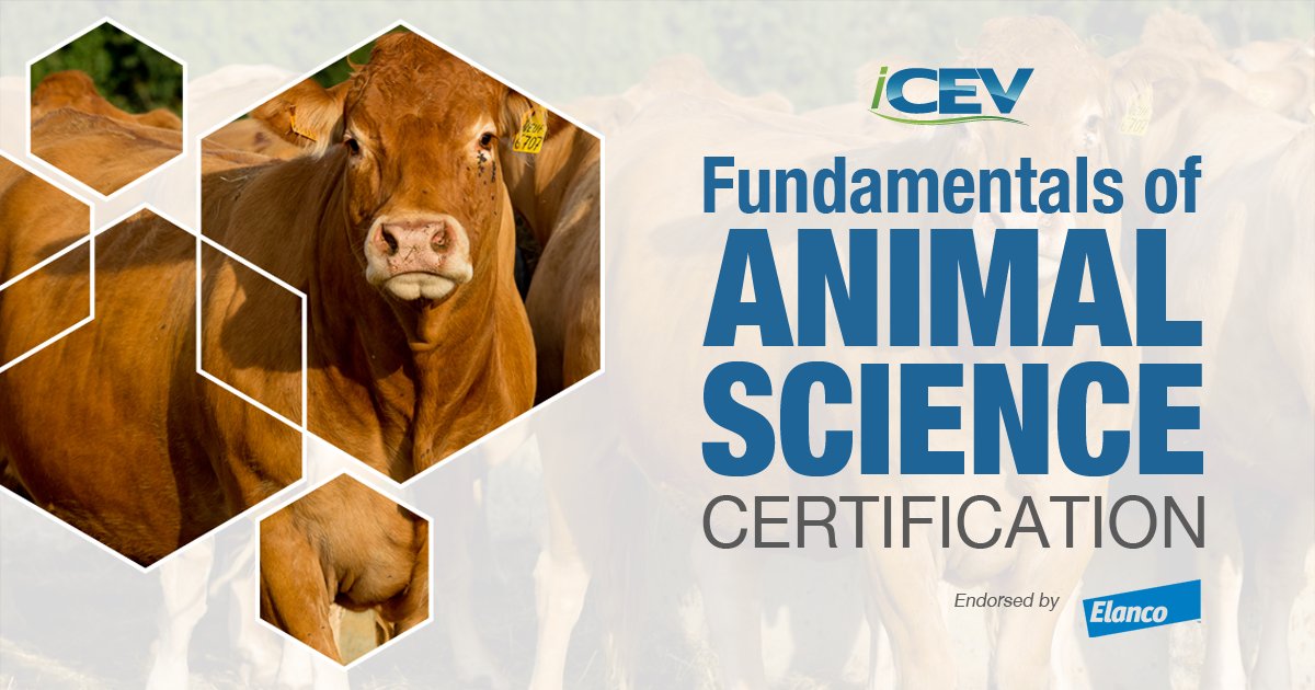 kparker14916's tweet image. There were 154 students earning @iCEVonline nationally recognized certifications May 2. Four of them were from Magnolia West High School. Congrats to Greg Golden and his students! @MagnoliaISD @westmustangs @MagnoliaWestFFA @ggoldenfive #Certify10k