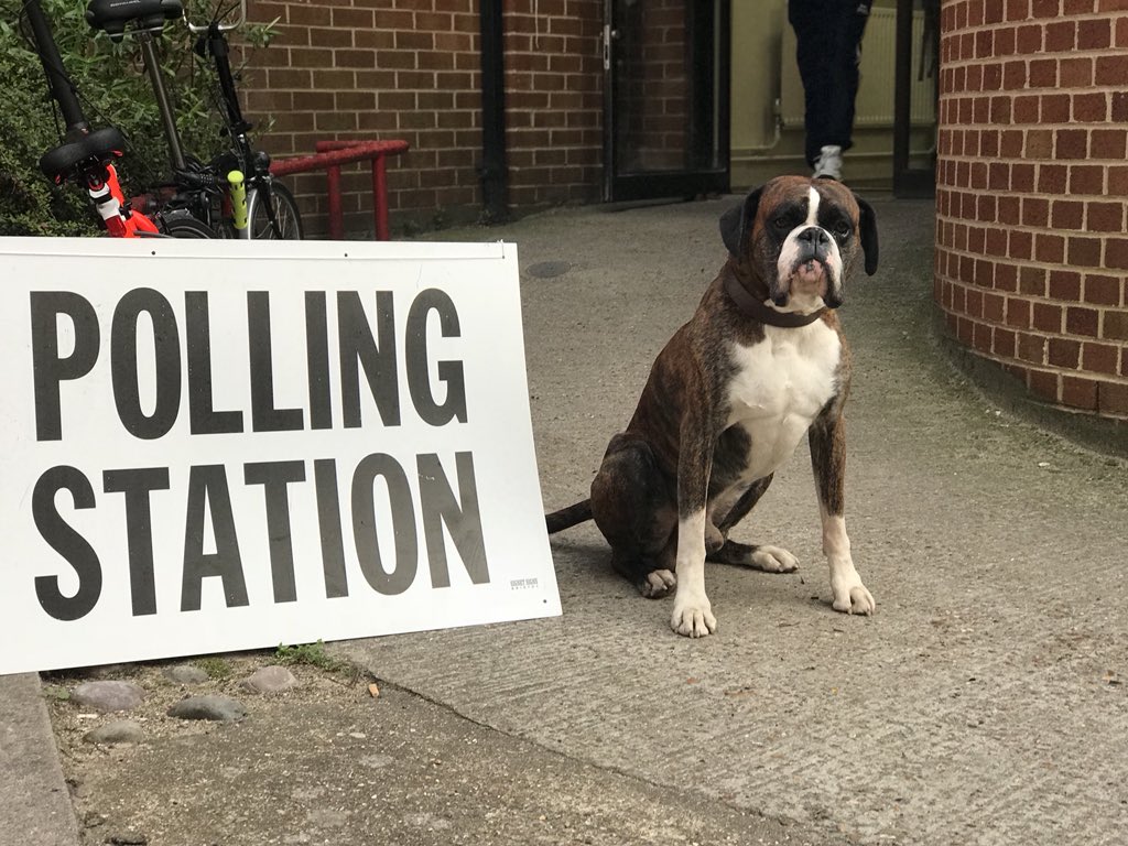 Conker Design tweet media