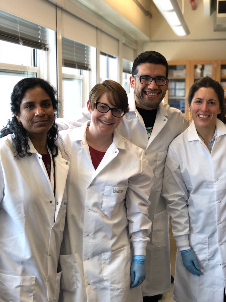 hatalbott's tweet photo. Group 1 “We are ready to ROCK” ... our samples #firbee2018 https://t.co/BAHkb4BGsO