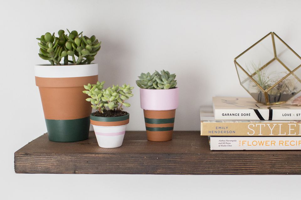 OneNorthBoston's tweet photo. Picture this: sunlight is pouring through your windows on a weekend afternoon, and you've got the urge to breathe new life into your space, but you only have $10. We don't have a single solution for your situation... We've got 25! Check them out!
https://t.co/Bl9MuGnXCv https://t.co/WgHI9Ih1hK