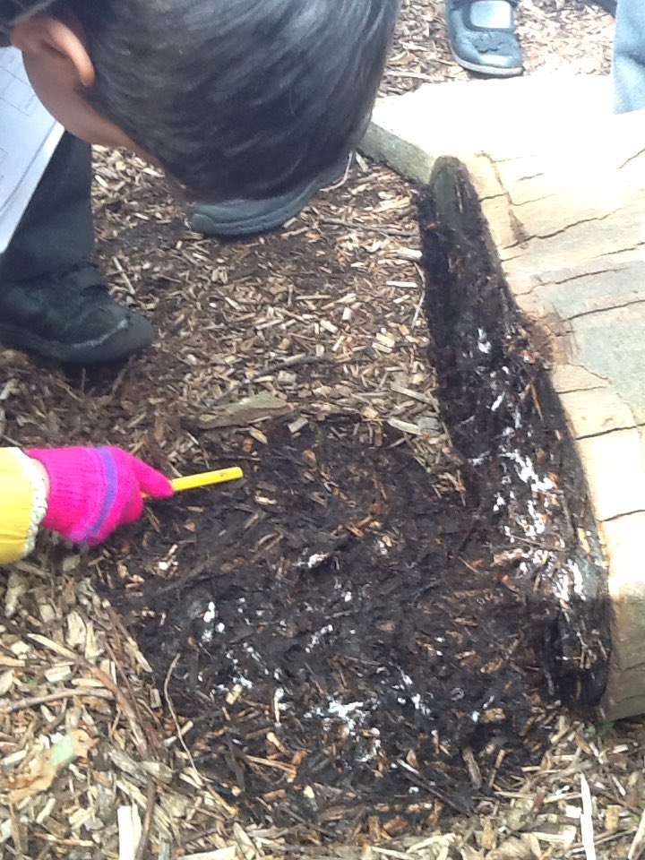MPA_Reception's tweet photo. We went searching for mini beasts in their micro-habitats today.  Can you spot the worm and the centipede? 
#develop @Cornerstonesedu @MontyAcademy @AETAcademies #insects #bugs #earlyyearshour #eyfspals #EYFS #curiosity #explore #discover #fun #forestschool https://t.co/A23fSTuaqb