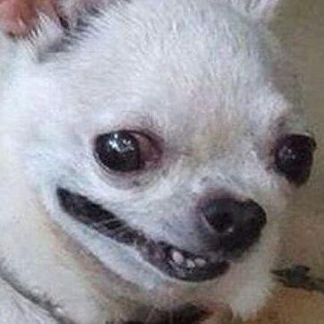 guipintto's tweet image. EU QUANDO VI QUE DEU MERDA X EU DEPOIS QUE RESOLVI TUDO