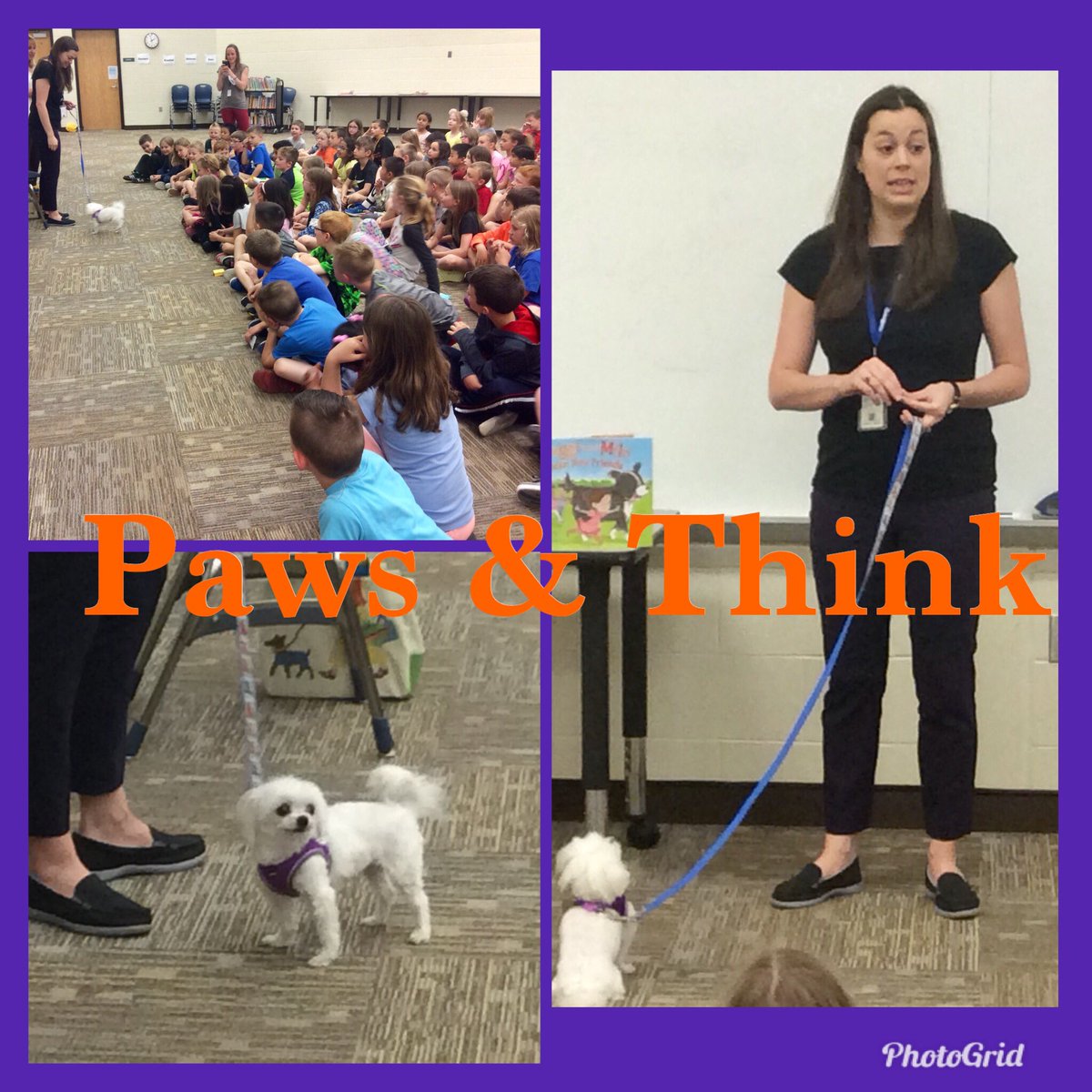 We are ready to walk and support our friends at 
Paws&amp;Think tomorrow. #pteserviceproject