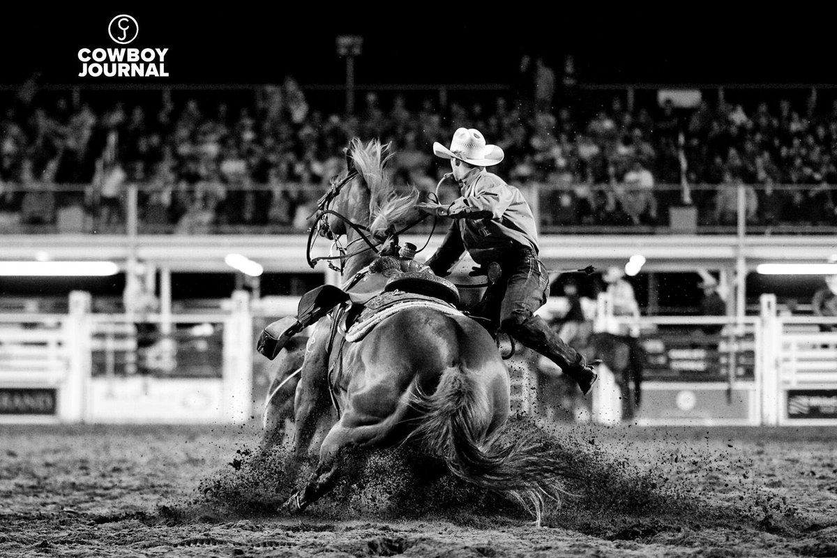 cowboy_journal's tweet photo. "...but those friends who were excited by that winning horse have no idea what it took to get Bam Bam to that point. They don’t know about the tough years.

Or why I let a horse like Bam Bam go."

Read "The Tough Years" here: https://t.co/FJntKziqvO

Photo by @mattcohenphoto https://t.co/I2qfNYA2B2
