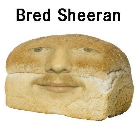 adjacent2fame's tweet photo. Looking so fresh @edsheeran
#breadsheeran https://t.co/9wox0wC1xE
