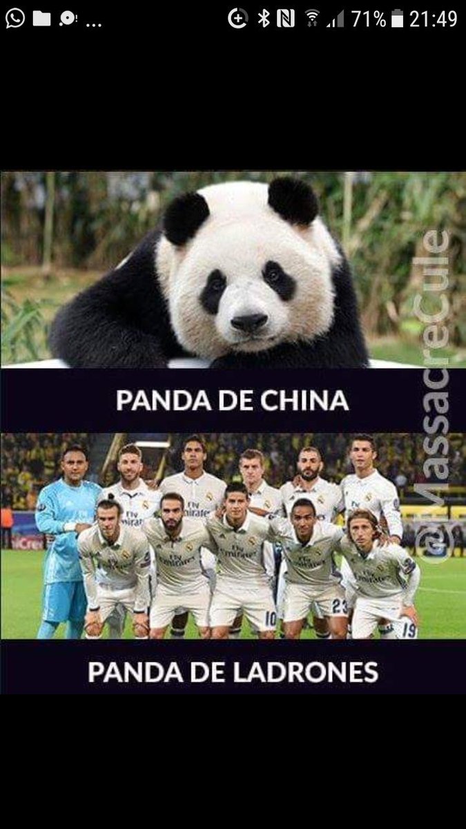 Al Zooo.de sant Esteve tenim un os Panda ..
Els nostres veïns són una panda de lladregots 🕎