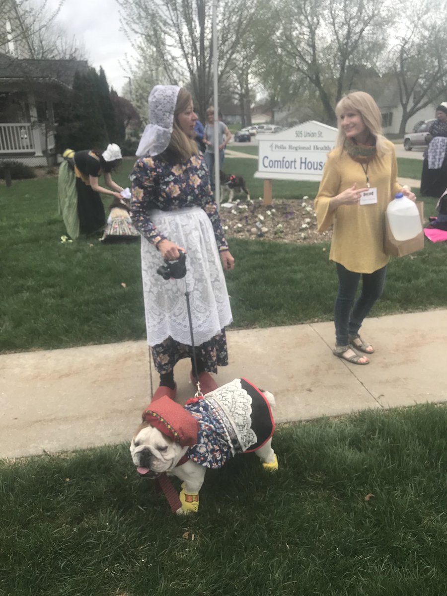 mbbbow's tweet photo. Bow-Z is ready for her Dutch debut at the Pella Tulip Time Festival in the Dutch Doggie Parade. https://t.co/a12S7t643x