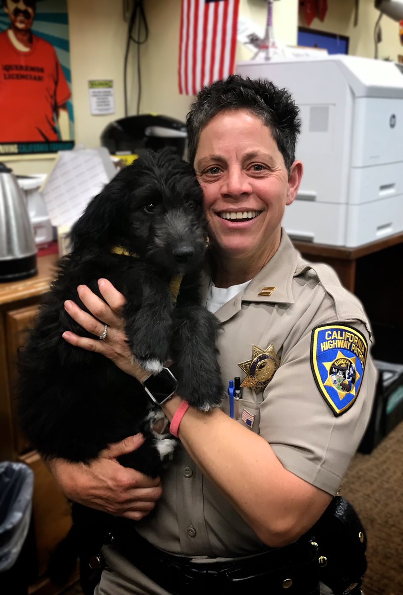 ColusaBrown's tweet image. #DeputyFirstDog and K9 Liaison Cali needed snack backup ASAP, thanks for the swift response @CHP_HQ! #FirstDogs #treats #lunchtime 👮‍♀️🚔🐶