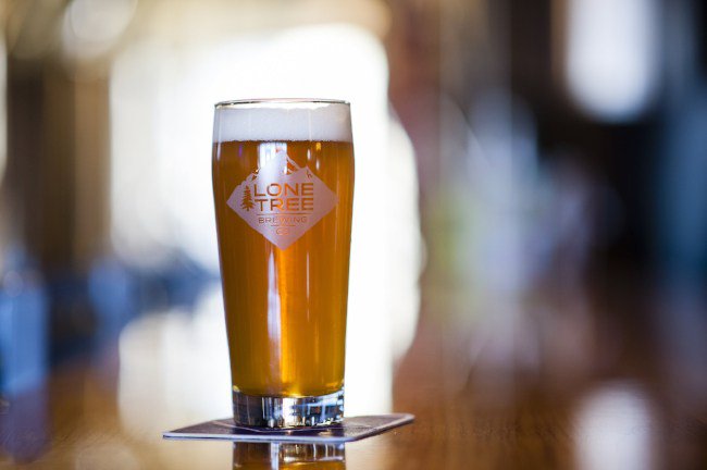 Lone Tree announces Hoppy Little Trees Project #milehighbeer milehighbeer.com/lone-tree-anno…