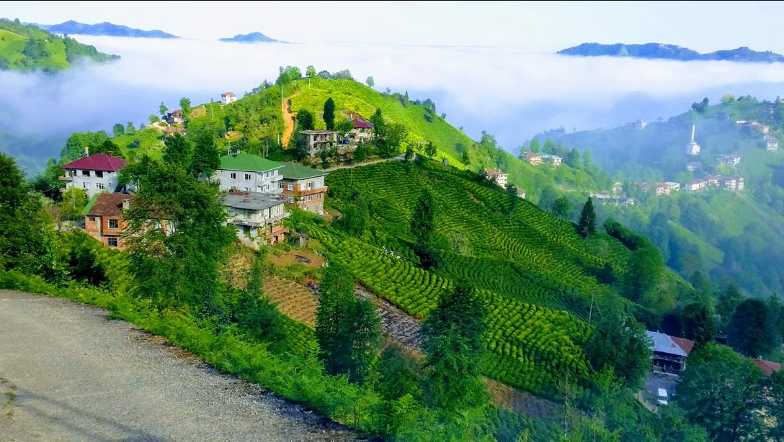 İbrahim Çağdaş (@cagdas_ibrahim) on Twitter photo 