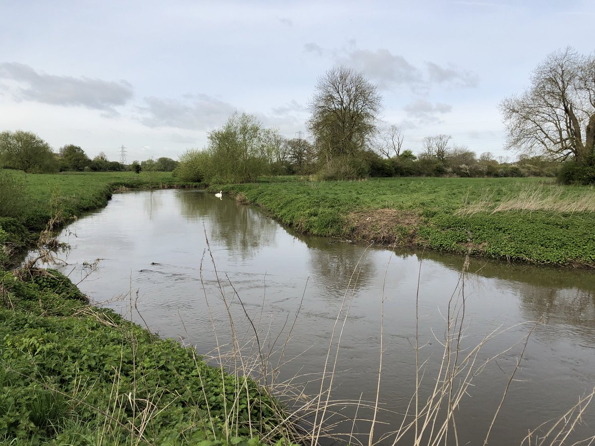 Beautiful morning walking around the site of our future home #everardsmeadows #newbrewery