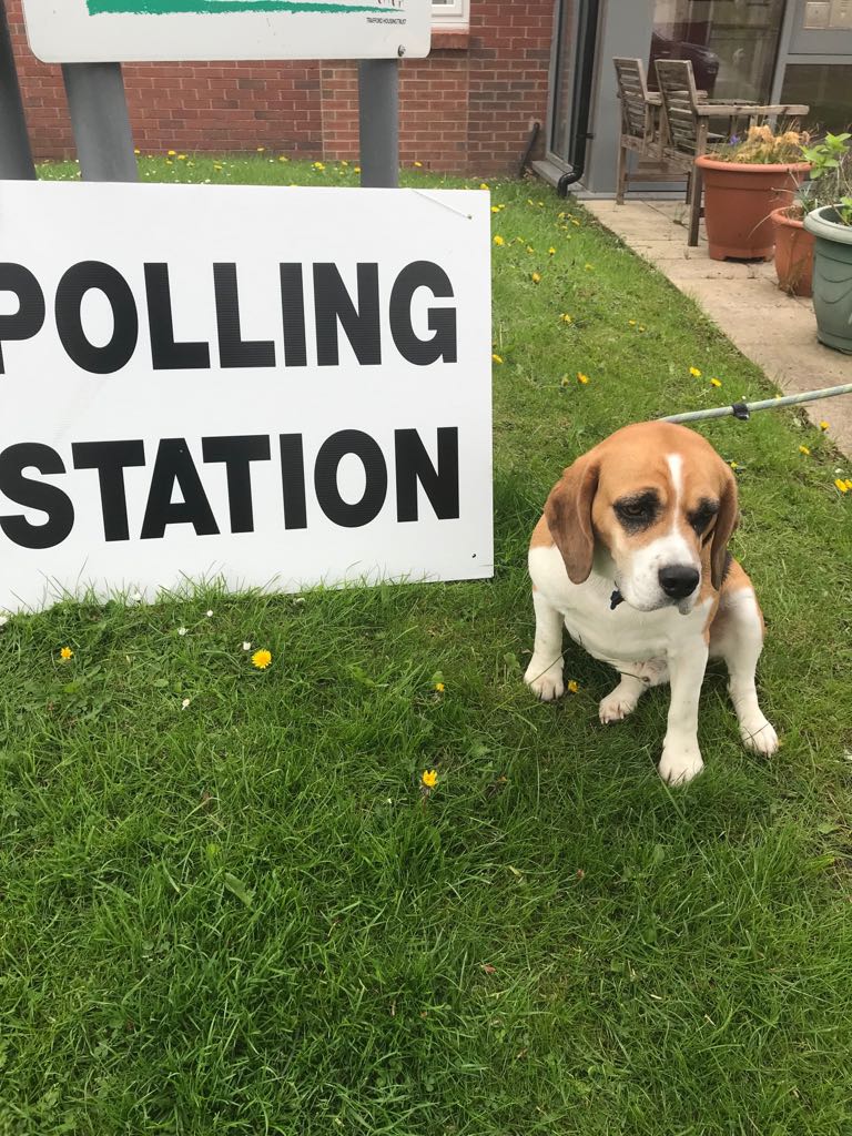 #dogsatpollingstations
