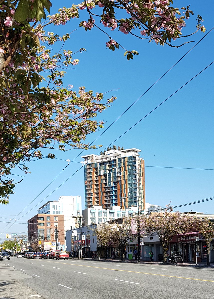 actonostry's tweet photo. View of the #Independentatmain by @RizeAlliance at Broadway and Main towards Kingsway @MountPleasantBC #Vancouver #spring #cherryblossoms #trees | @urbanYVR @BBHwest More on the project: https://t.co/Gdmo4WMCKc https://t.co/D4EbbWLGWA