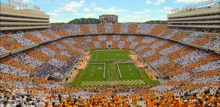 Knowledge McDaniel tweet media