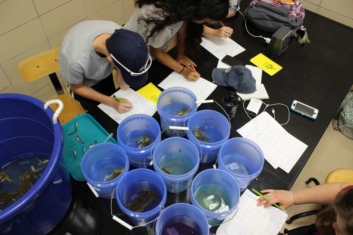 CWCeducator's tweet photo. Summer is fast approaching and so are the application deadlines for CWC/LUMCON summer camps!

Coastal Art &amp; Science: applications due May 16th
LEAD &amp; FMS Camps: applications due May 25th

More info and applications on our website: https://t.co/I1Emni9r27 https://t.co/Osna1iErvL