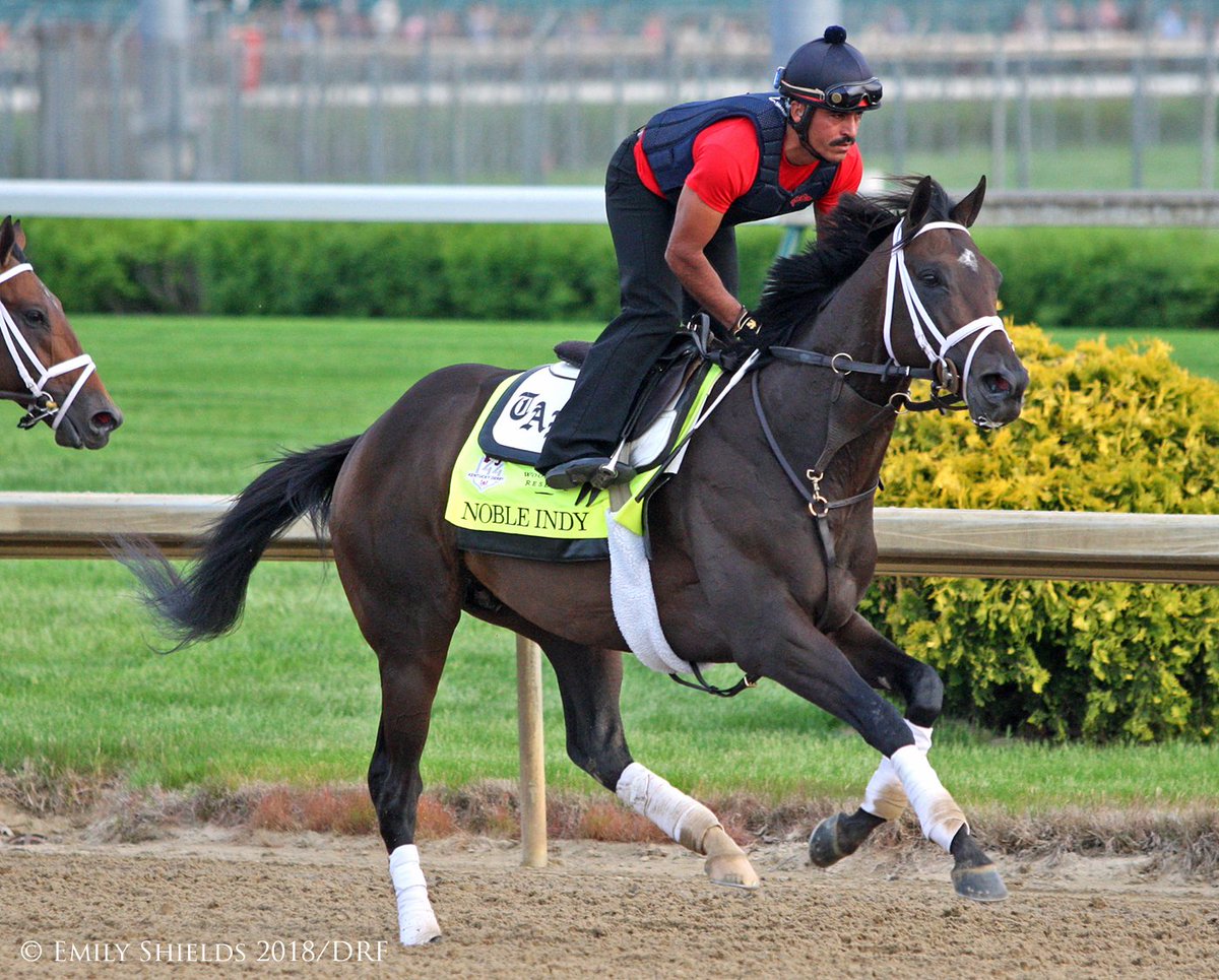 Still one of the best looking horses I've seen, Noble Indy.