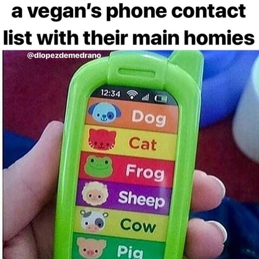 Nasimvegan's tweet photo. #Vegan #Govegan #Nasim #NasimAghdam #Meme #Memes https://t.co/SxuiCkXTVx
