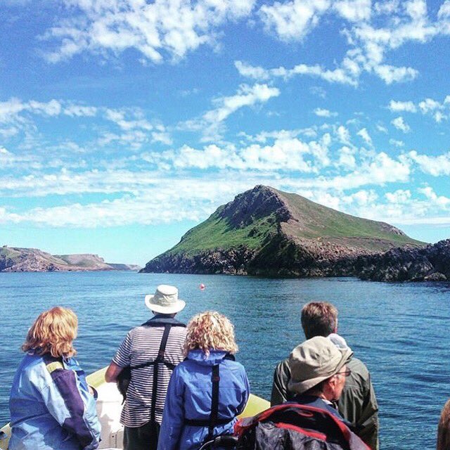 gower_boat_trip's tweet photo. ☀️ Fantastic weather forecast for the bank holiday weekend. Trips on all 3 days and conditions perfect for wildlife encounters 👌 Book at https://t.co/m65rxcKH1Z #bankholidayweekend @VisitSwanseaBay https://t.co/qmoPxhpjDo