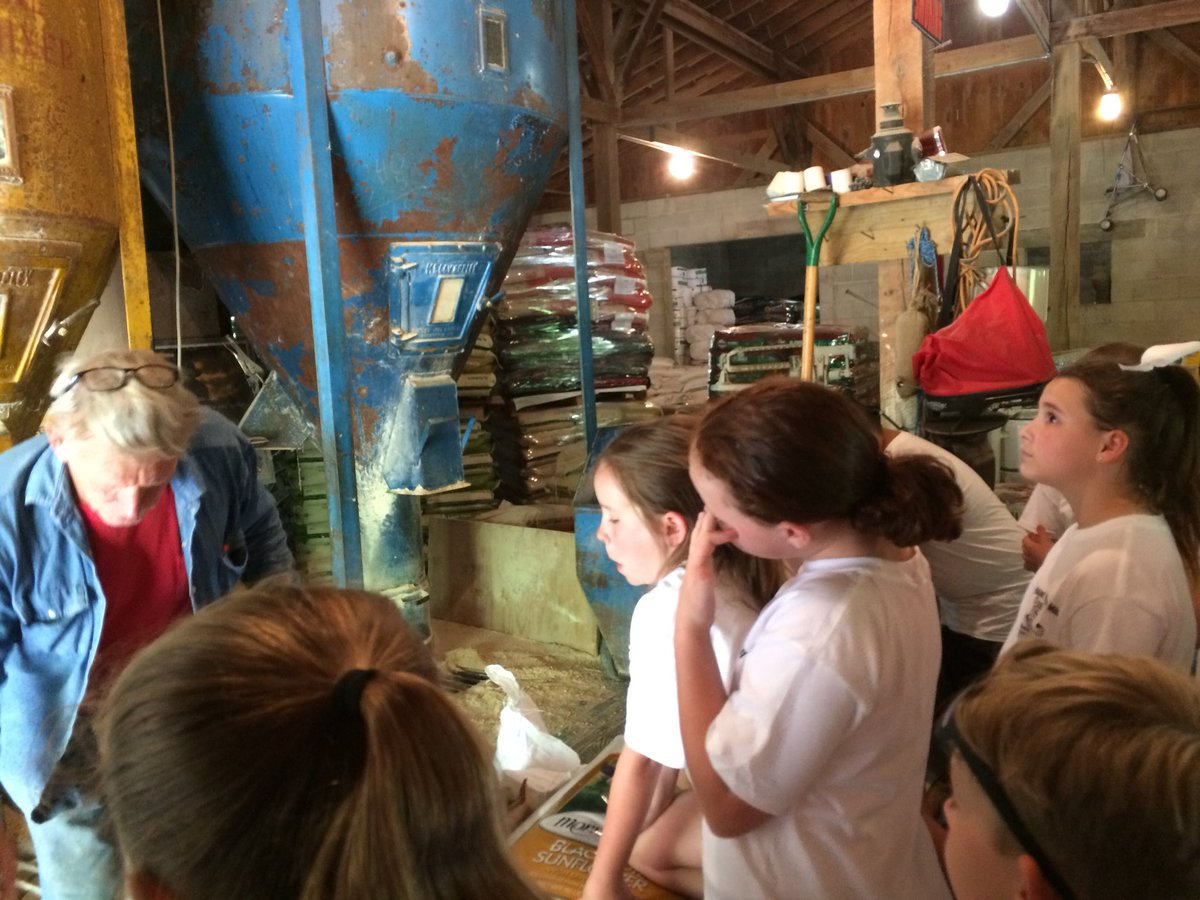 Bell3rdgrade's tweet photo. Third Grade Walking Field Trip!
#pvessuccess @PVES_Panthers https://t.co/ssVFOYQ7fk