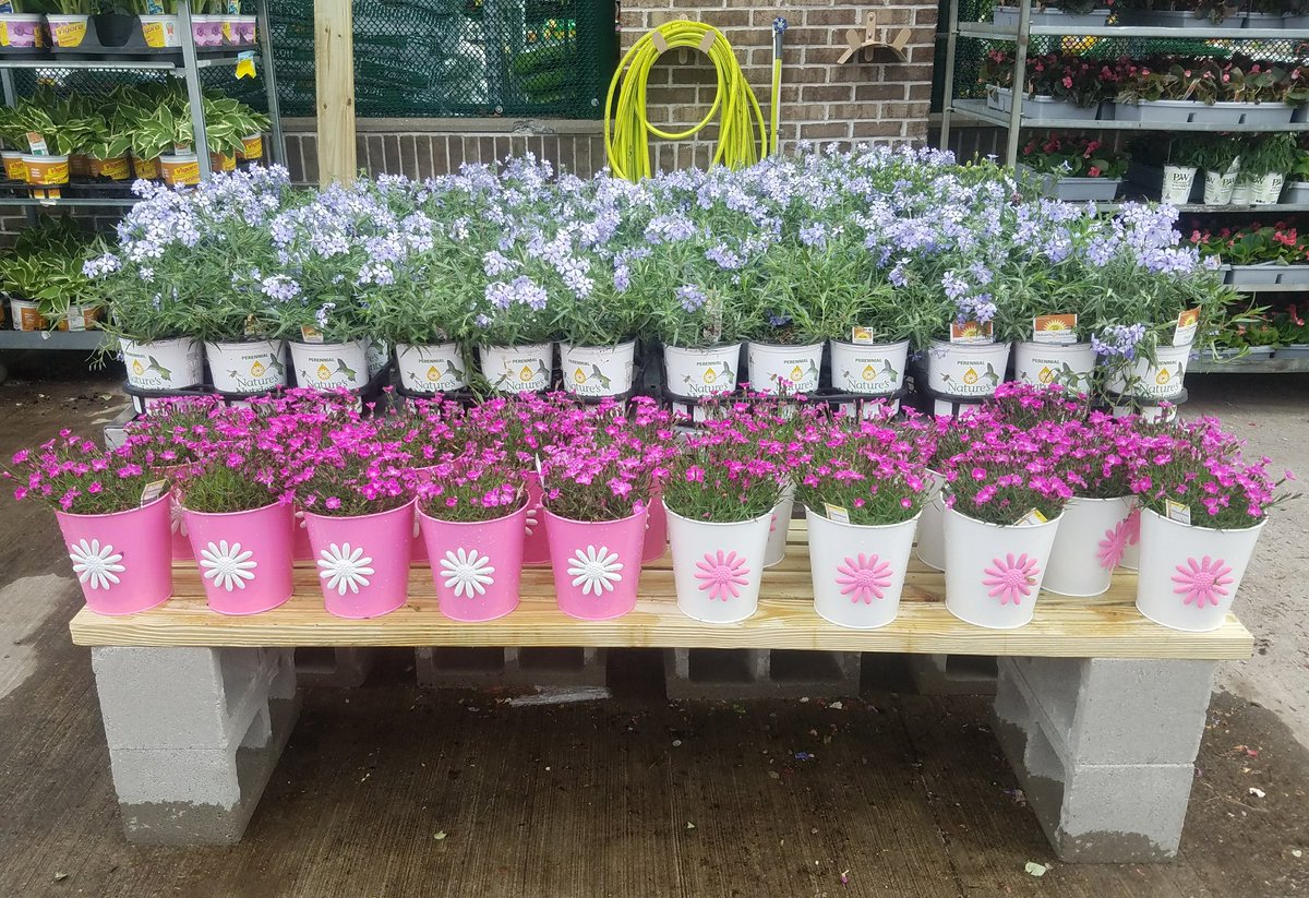 Yesterday: Perennials at the farm as far as the eye can see;  Jason and Joe checking quality. Then today VOILA! <a href="/HomeDepot/">The Home Depot</a> Brewster NY and all our Home Depots. <a href="/ChristineTHD/">Christine Sweeney</a> <a href="/daryl_hagen/">Daryl Hagen</a> <a href="/DanStuppiello/">Dan Stuppiello</a>