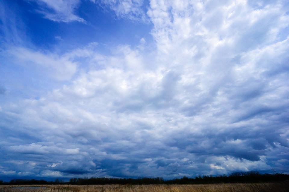 JohnWTOL's tweet photo. Not much Sun today, but still some cool cumulus clouds out at #EagleMarsh in Fort Wayne! https://t.co/Kne1ojJrra