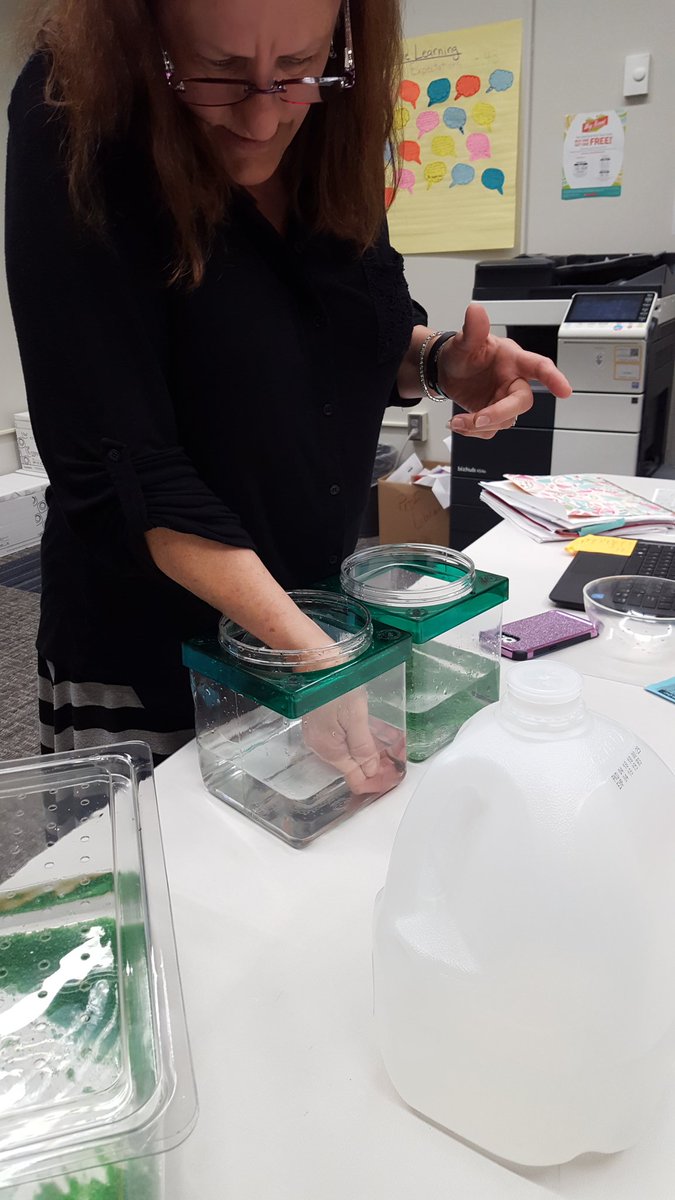 Cattell_DMPS's tweet photo. 1st grade teachers getting tadpoles ready to share with their students. #growafrog https://t.co/afc7Q0vSom