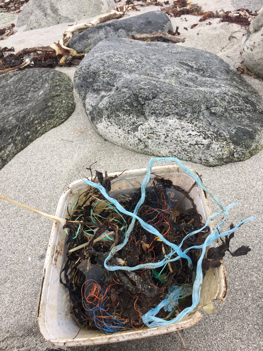 EHolmy's tweet photo. #helenorgerydder #plasticpollution https://t.co/Q8KhDXPY9u