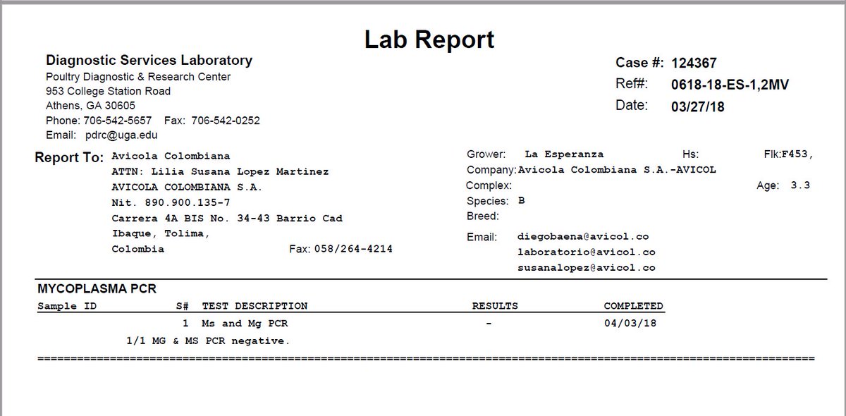 AvicolSA's tweet photo. A través de pruebas internas de laboratorio, Avicol re-confirma su condición de negatividad a Micoplasma Gallisepticum y Sinovae, mas información en https://t.co/lqp5Hr90RU https://t.co/4YsqLG3jgo