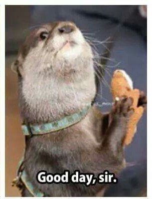 BookwormLev's tweet image. When you want to be alone but your friend keeps bugging you until you you've had enough