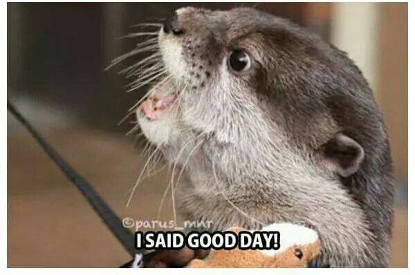 BookwormLev's tweet image. When you want to be alone but your friend keeps bugging you until you you've had enough