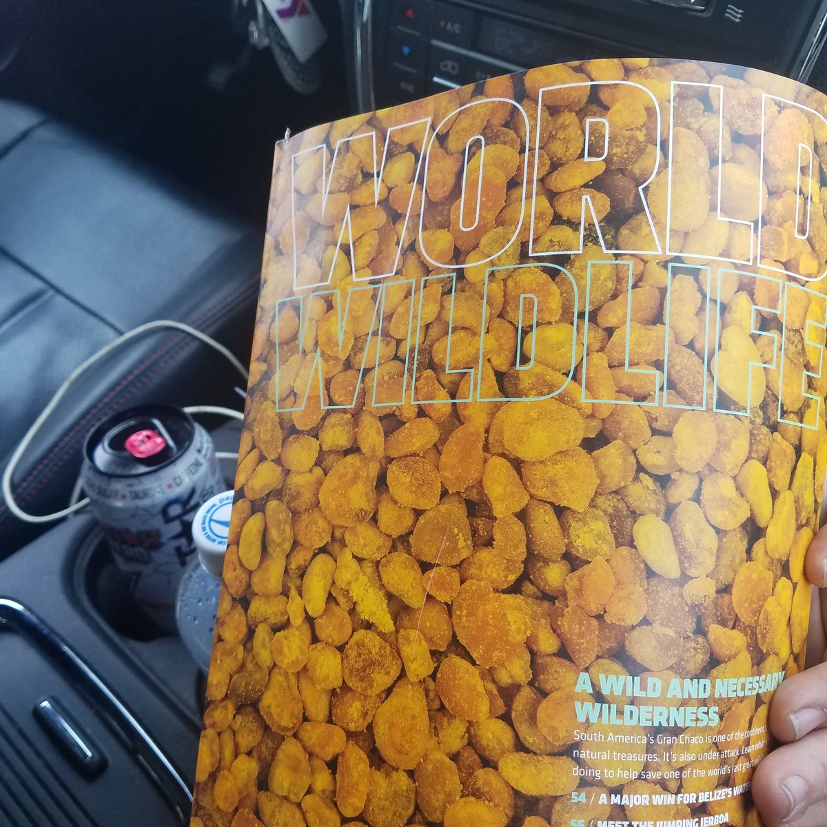 Not the #WWF magazine I was hoping for....