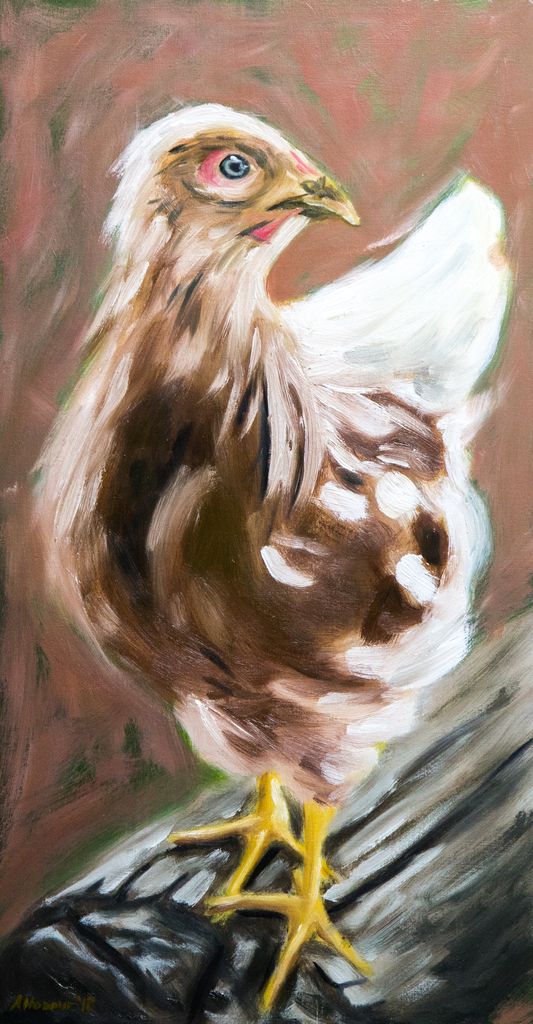 burntumberarts's tweet photo. Finished! 7.25x13.75 inch oil on panel βYoung Buffβ #oilpainting #oiloncanvas #fineart #artwork
#burntumberarts #chickenpainting #painting #portrait #paint #art #artforsale #handpainted #paintingforsale #loveart #dailypainting #buffchicken #chicken https://t.co/jmG3hKAEyA