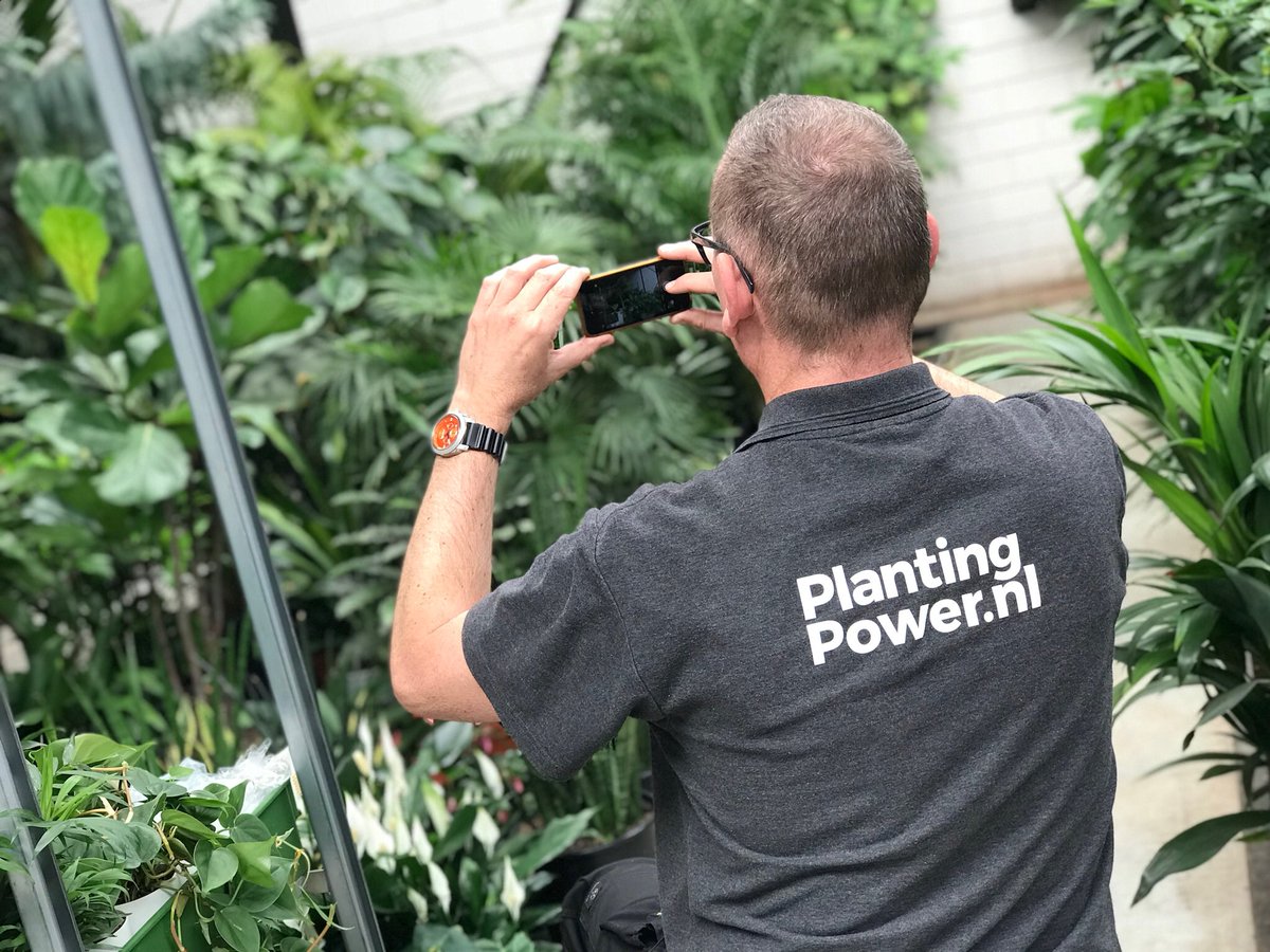 volginc's tweet photo. [STORYTELLING] onze @DennisIkink leert de medewerkers van @rentaplant hoe ze hun visuele verhaal met een iPhone perfect kunnen vastleggen als ze op pad zijn https://t.co/G8jm350pbe