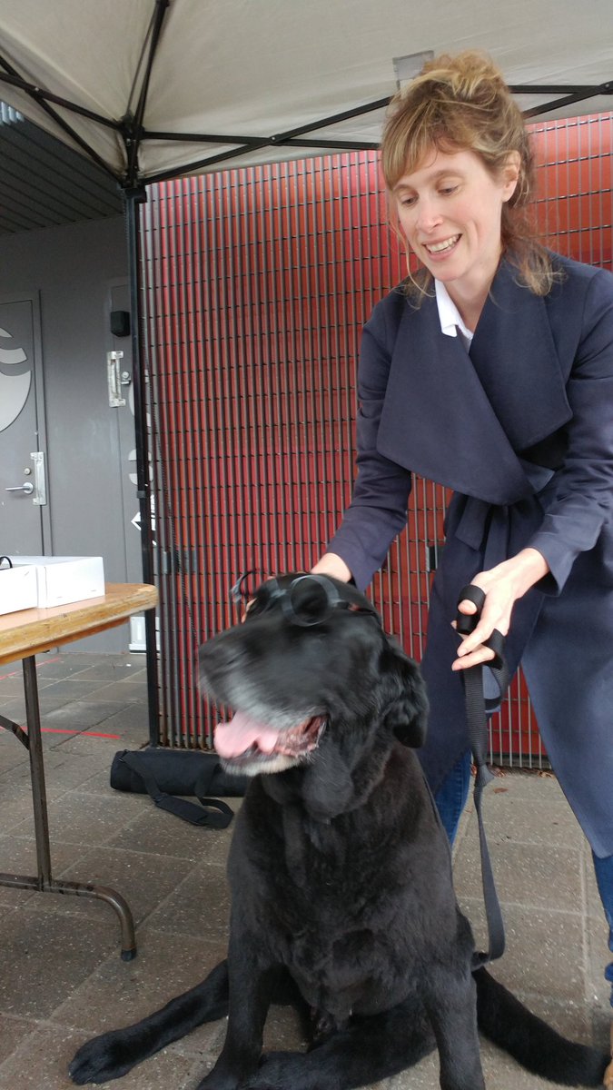 Jane's Walk Ottawa-Gatineau tweet media