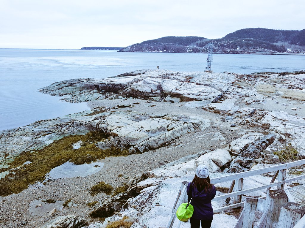 teacaketravels's tweet image. Today I sat on a 🚤 and braved the elements 🌊❄🌬 to see a 🐋!! Did I manage it? Well.....kind of 😂 They were shy &amp;amp; popped up veeeery quickly. I walked off that boat with wet knickers and no photos. We're gonna put this one in the memory box 😂
#quebecbythesea #QuebecRegion