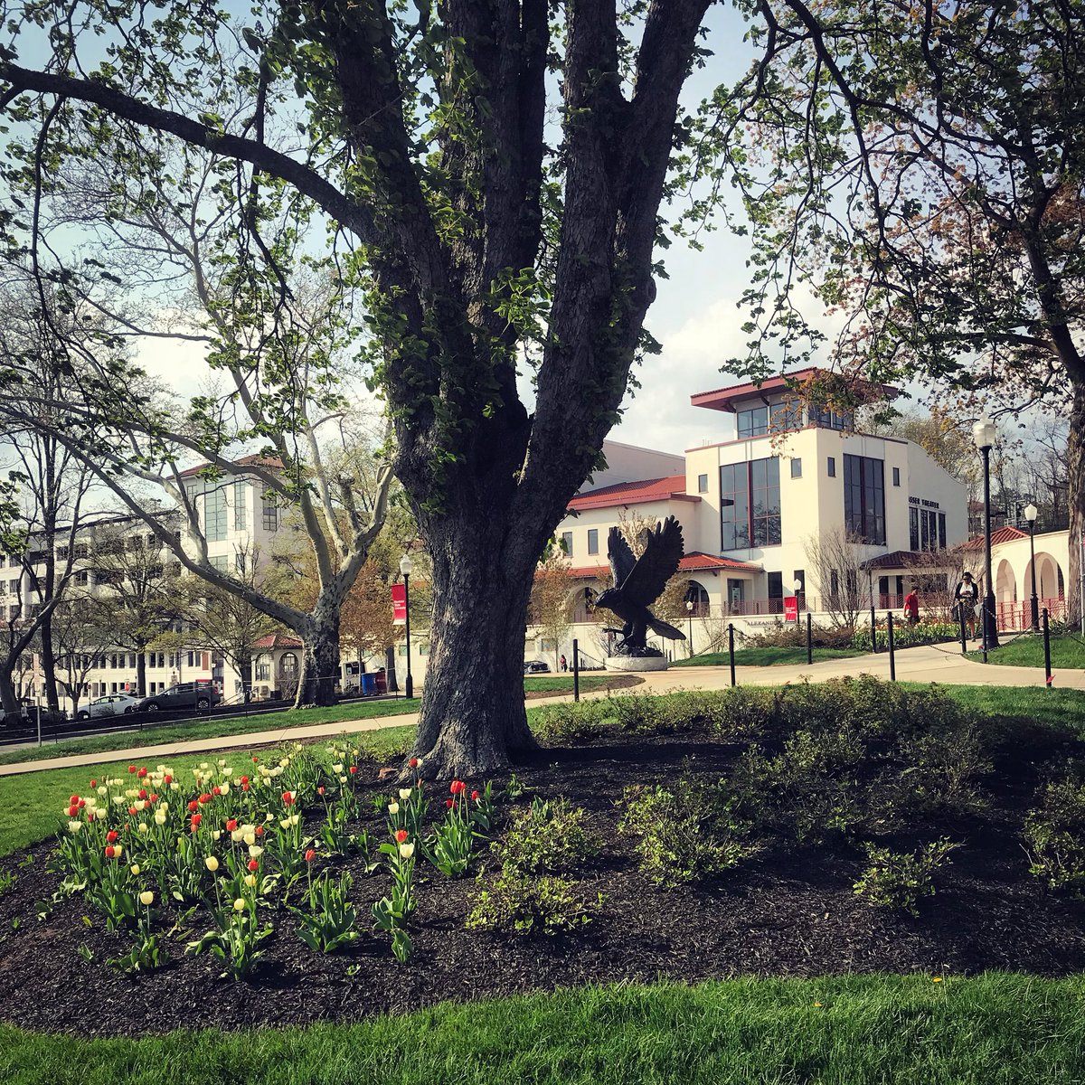 MSUadmission's tweet photo. A beautiful night on campus ππ·#redhawkready #RedHawkCountry #redhawklife #montclairstateu #montclairstate #montclairstateuniversity https://t.co/2OQwAQZ13M