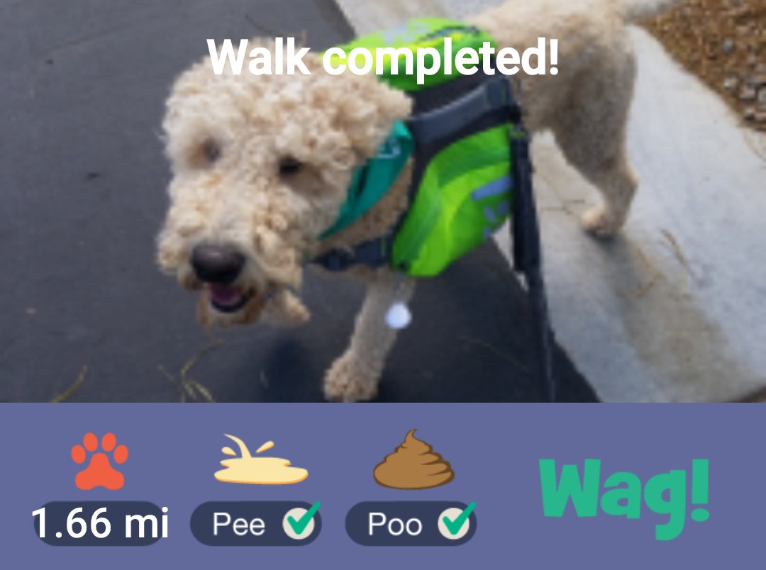 CombatZonePBLV's tweet photo. Just Finished a dog walk on Wag! Use my promo code DEBRA76552 for $50 in FREE Wag! credit! Play store: https://t.co/kRINAaTCJo https://t.co/faUeL5hTIL