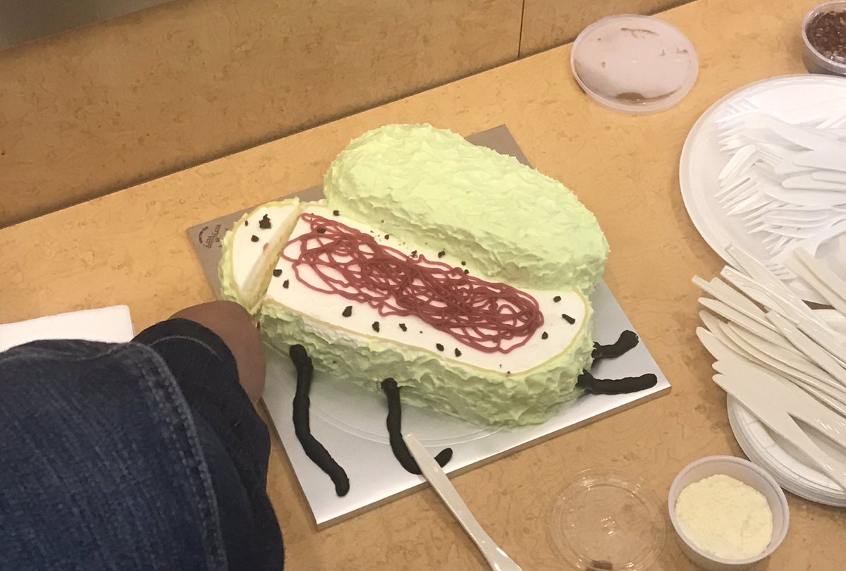 anthnymrtn's tweet photo. Not so crappy confections for #Microbe Club here at @CedarsSinai! Any scientists out there curious about the cake #microbiome? https://t.co/T9uPnhVACD