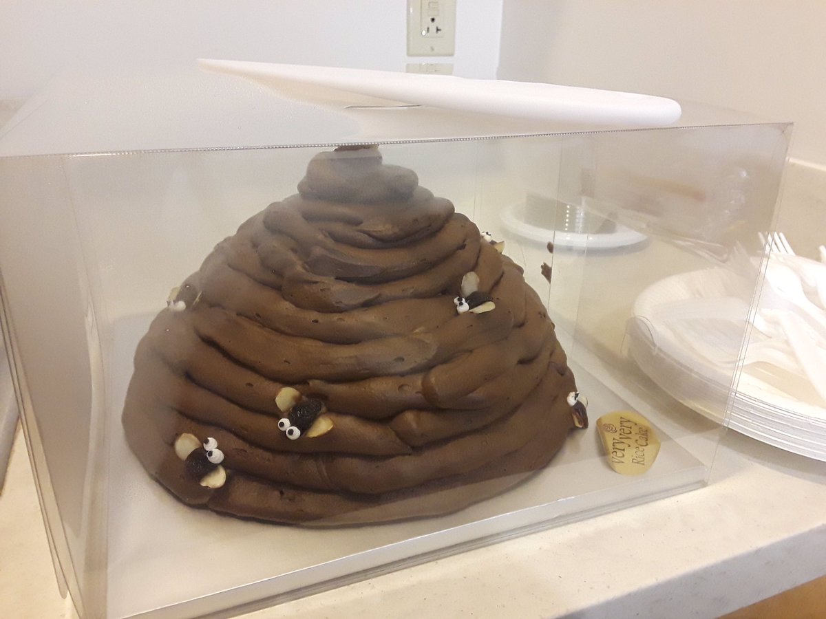 anthnymrtn's tweet photo. Not so crappy confections for #Microbe Club here at @CedarsSinai! Any scientists out there curious about the cake #microbiome? https://t.co/T9uPnhVACD