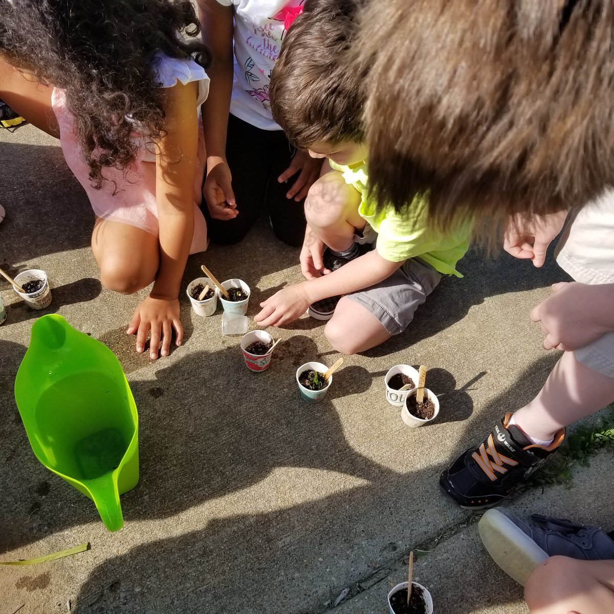 LAM8791's tweet photo. Our kindergarteners love to garden!#alantonastros https://t.co/wWQ54x4FBc