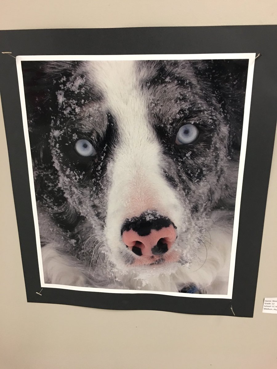 CCHSRedDevils's tweet photo. Opening exhibit of the #CCGallery is happening until 7:30 tonight! Come out view some great K-12 student artwork! https://t.co/xeszIsHkqF
