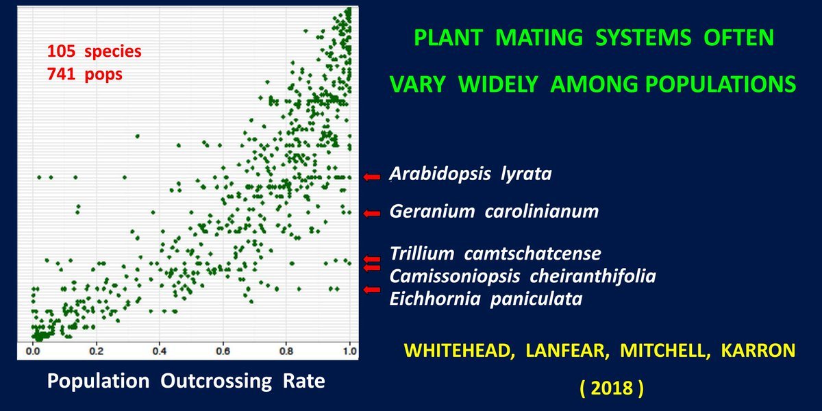 PollinatorCons's tweet photo. New REVIEW highlighting AMONG-POPULATION VARIATION in OUTCROSSING RATES. 105 species / 741 populations. By Whitehead, Lanfear, Mitchell & Karron Highlights role of genetic and ecological factors influencing selfing / outcrossing. #pollination #mixedmating #selfing https://t.co/6CgH305kAG