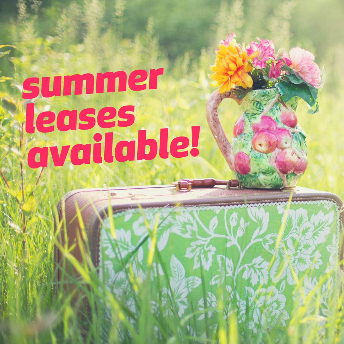 Studio Green tweet media