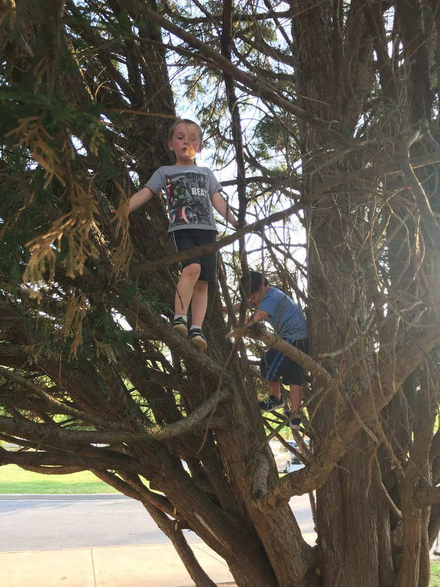 5thWithMrsJames's tweet photo. Brownsville after hours! @BrownsvilleES #teacherskidbreakingtherules #greatclimbingtree #coveredinsap https://t.co/0jrcsIQ0Qb