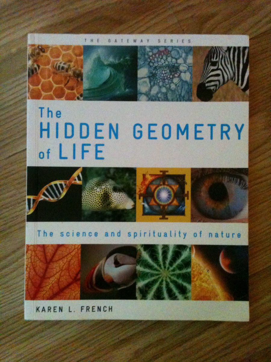 CseeThru's tweet photo. @RomuloCeldran The Hidden Geometry Of Life
Welcome To An Incredible Journey 
Into The Heart Of Space, Time, Light And Matter. https://t.co/3Antc8Ybjm