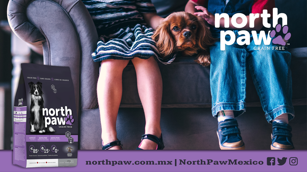 NorthPawMexico's tweet photo. Ellos te ayudan a cuidar de lo que más quieres. Cuídalos tú como ellos se merecen. #LibreDeGranos #NorthPawMéxico https://t.co/ni0BmJolRe https://t.co/NSJVwmwMfQ