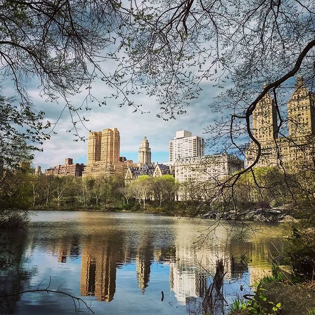 viaggiconme's tweet photo. Un angolo romantico di Central Park❣️ #USA #newyork #manhattan #centralpark #lake #bike #spring #mirror #bowbridge #cycling #morning #romanticview #viaggiconme https://t.co/pwDXEh9Lc8 https://t.co/JsatiKN4Jh
