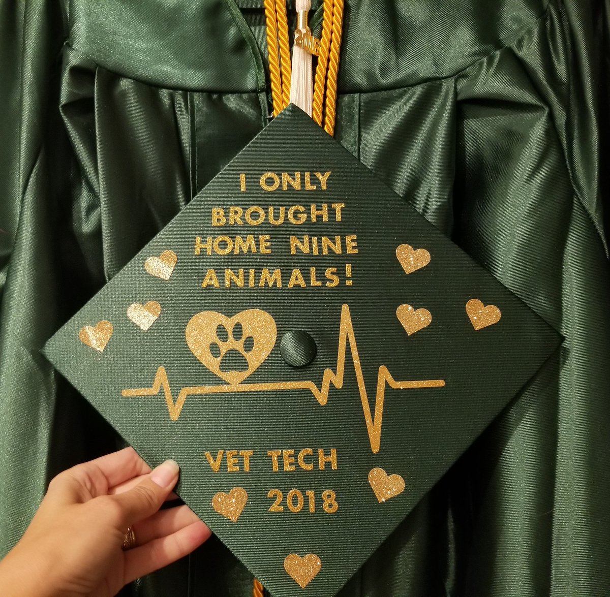 Taterpugz's tweet image. All my grades are in! Nothing left but to walk on Sunday! 🎓😃
#vettechstudent #vettech #vetmed #veterinarytechnician #studentlife #graduation #cumlaude #nextuptheVTNE @aavsb @vettechs @PensacolaState #Pensacola #onedog #onerabbit #sevenmice #testedmymarriageyall #survivor 😂